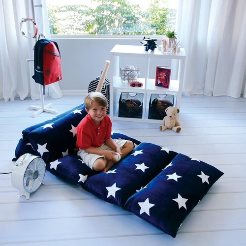 Butterfly craze floor pillow - floor,